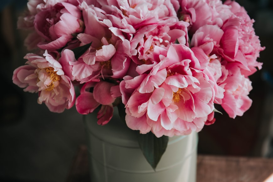 Tips for Buying Flowers and Plants Online