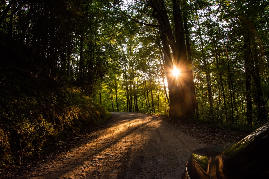 The Appalachian Trail: Things to Do and How to Prepare for the Trip