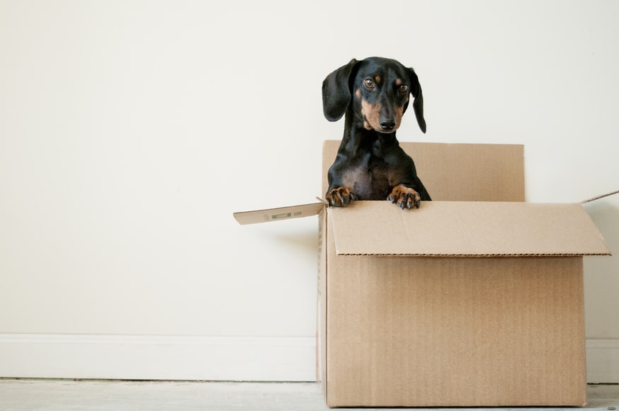 6 Tips to Make Moving Easier