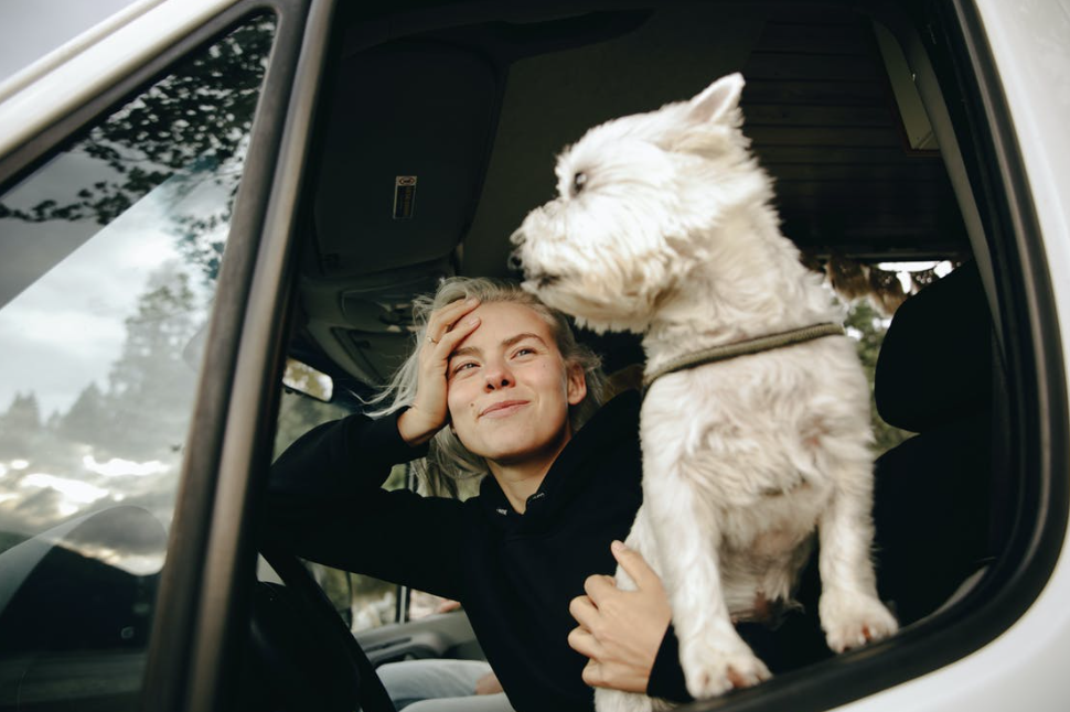 10 Tips for Traveling in the Car with Your Pet