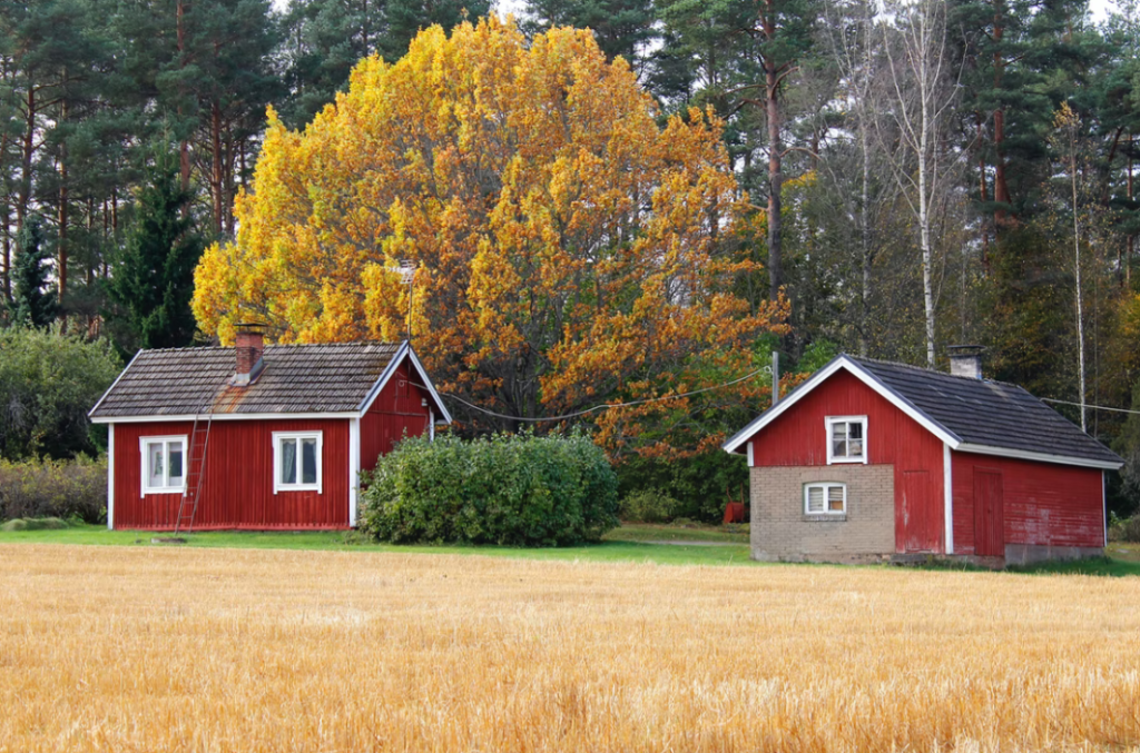 Cabins Are Becoming A Popular Addition To Homes - Here’s Why