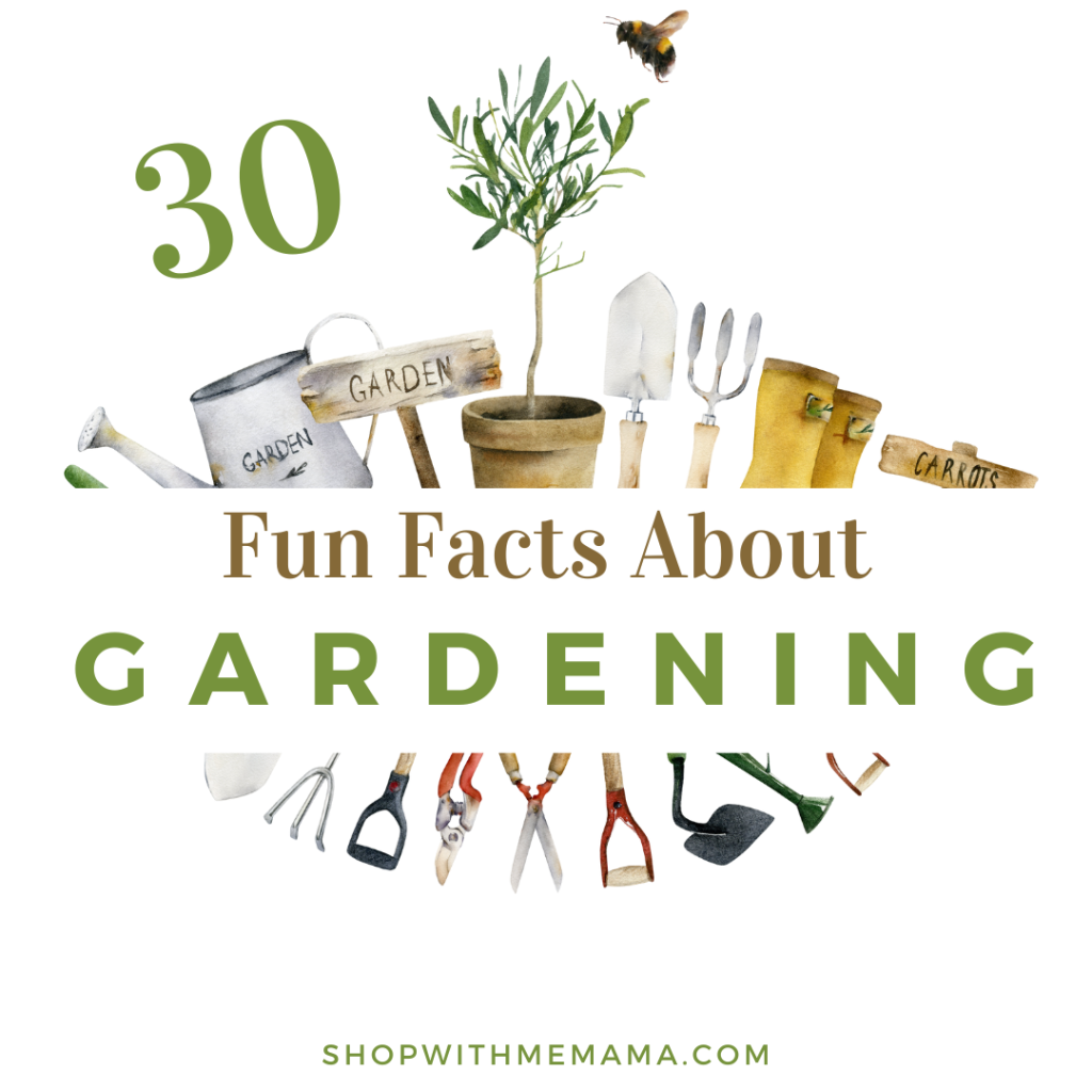 Fun Facts About Gardening