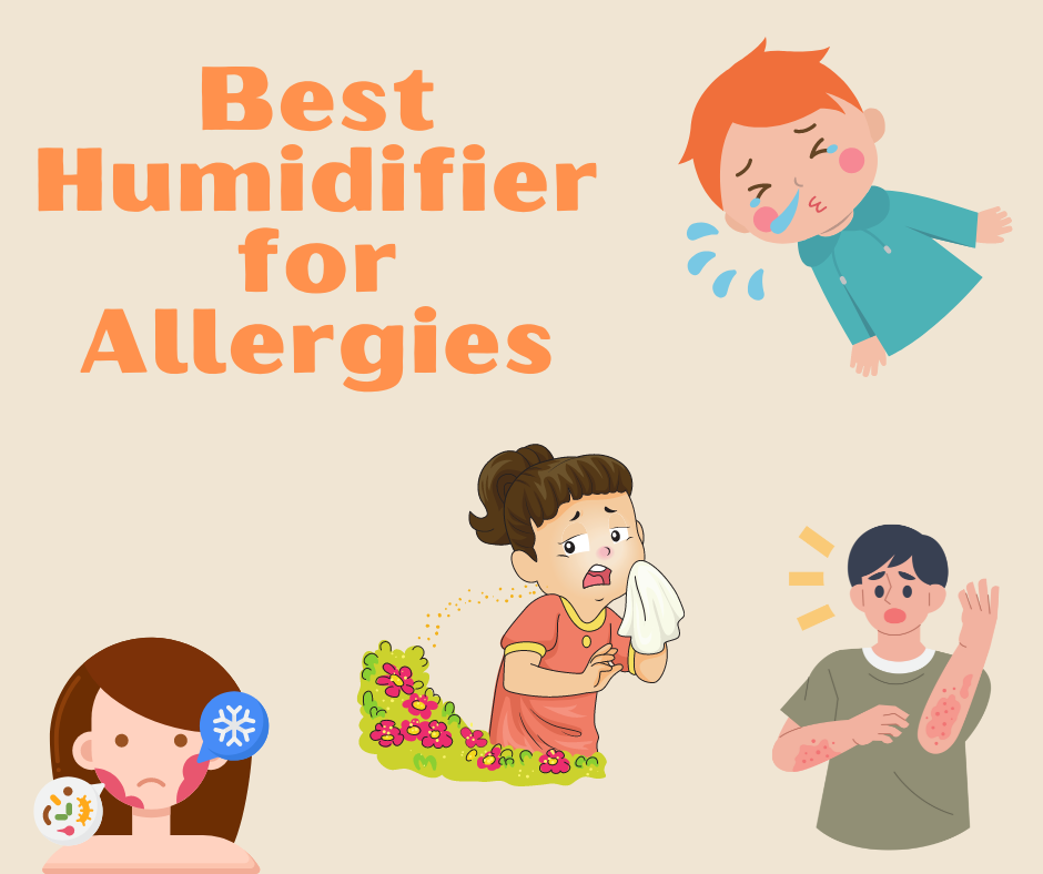 Best Allergy Humidifier