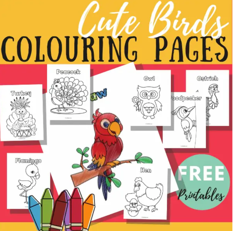 Coloring Activities for Kids