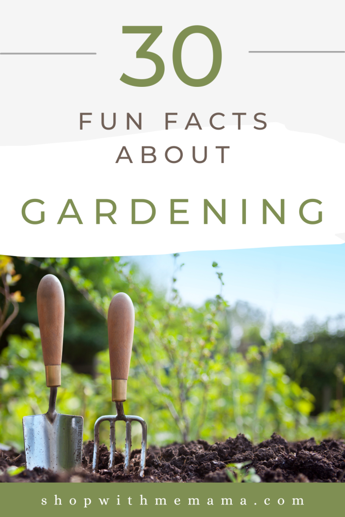 Fun Facts About Gardening