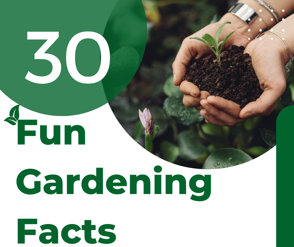 30 Fun Facts About Gardening