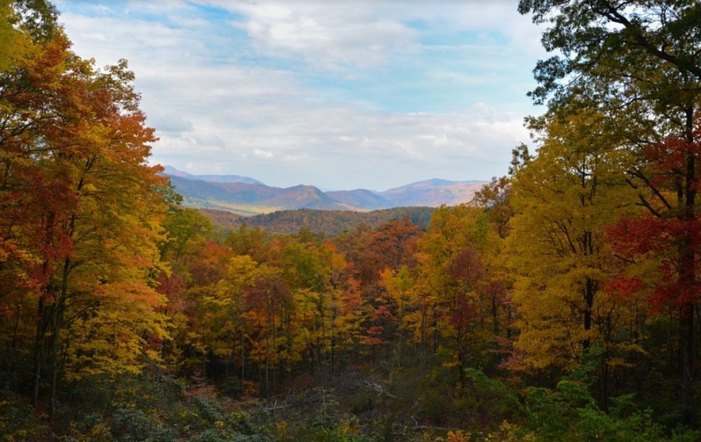 places to explore if you are visiting Gatlinburg