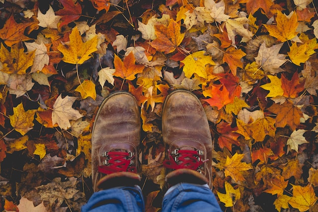 What Are The Best Fall Activities to Do with Your Kids?