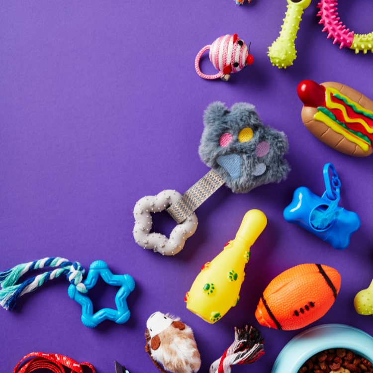 Dangerous Toys: What Not to Buy for Your Pet