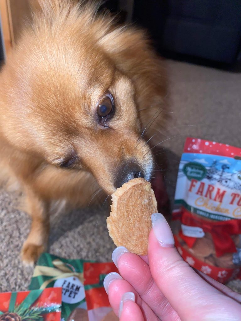 These Are The Best Dog Treats Made In The USA