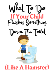 what to do if your child flushes a hamster down the toilet