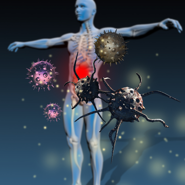 Importance of Strengthening Your Immune System