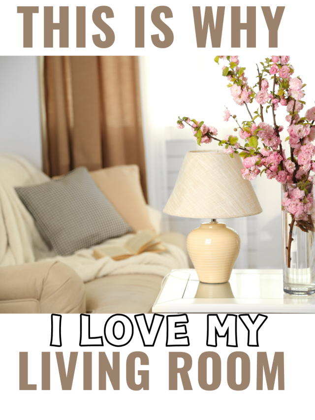 My Favorite Living Room Essay