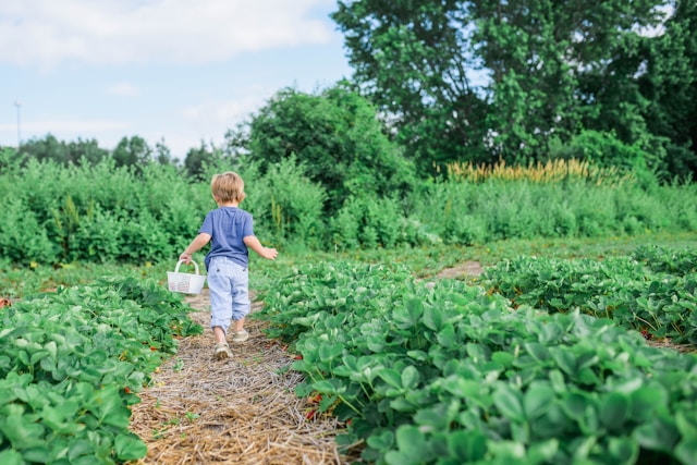How Kids Can Develop Fine Motor Skills Through Gardening
