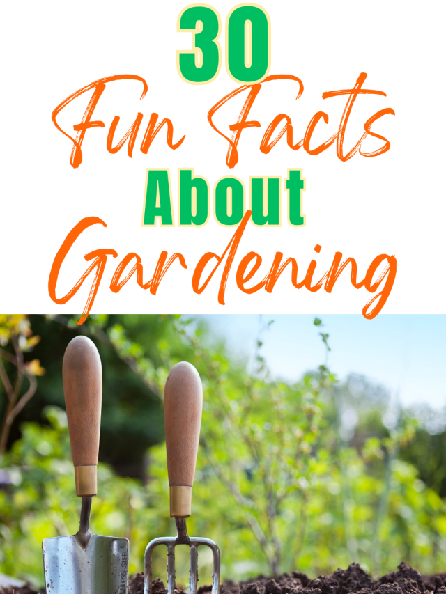 Facts About Gardening!