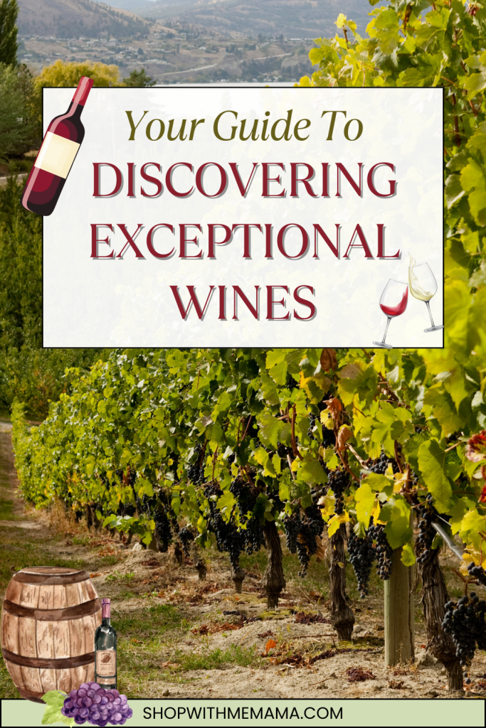 Guide to Discovering Exceptional Wines