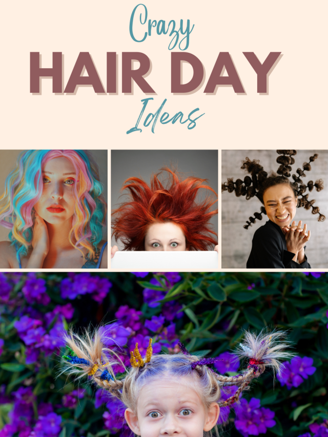 EASY CRAZY HAIR DAY IDEAS
