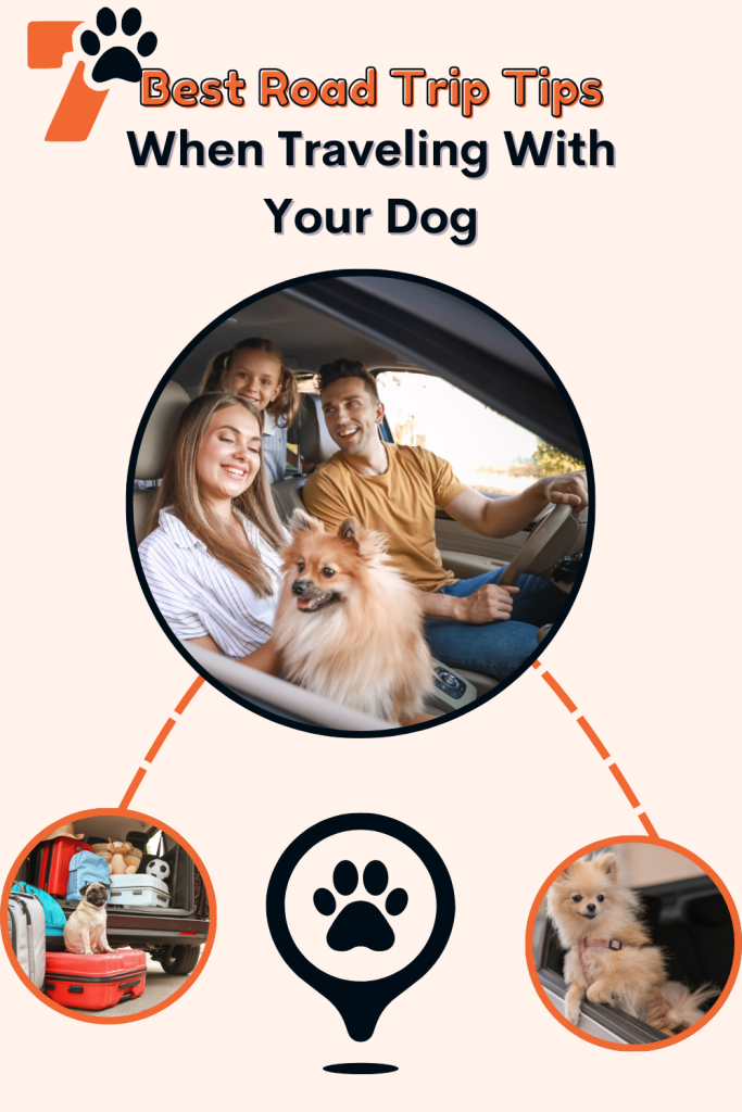 The Best Road Trip Tips When Traveling With Your Dog