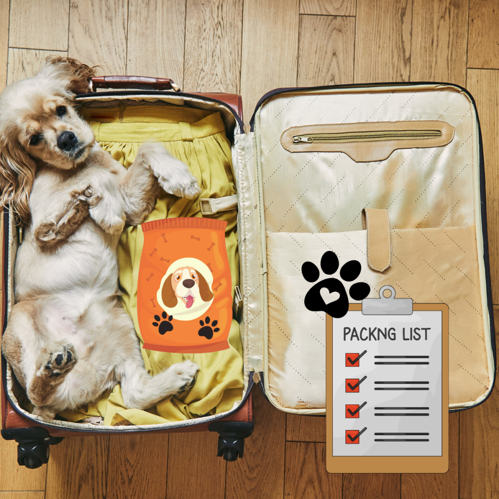 The Best Road Trip Tips When Traveling With Your Dog