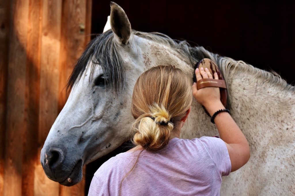 How to Build a Career You’ll Love Working With Animals