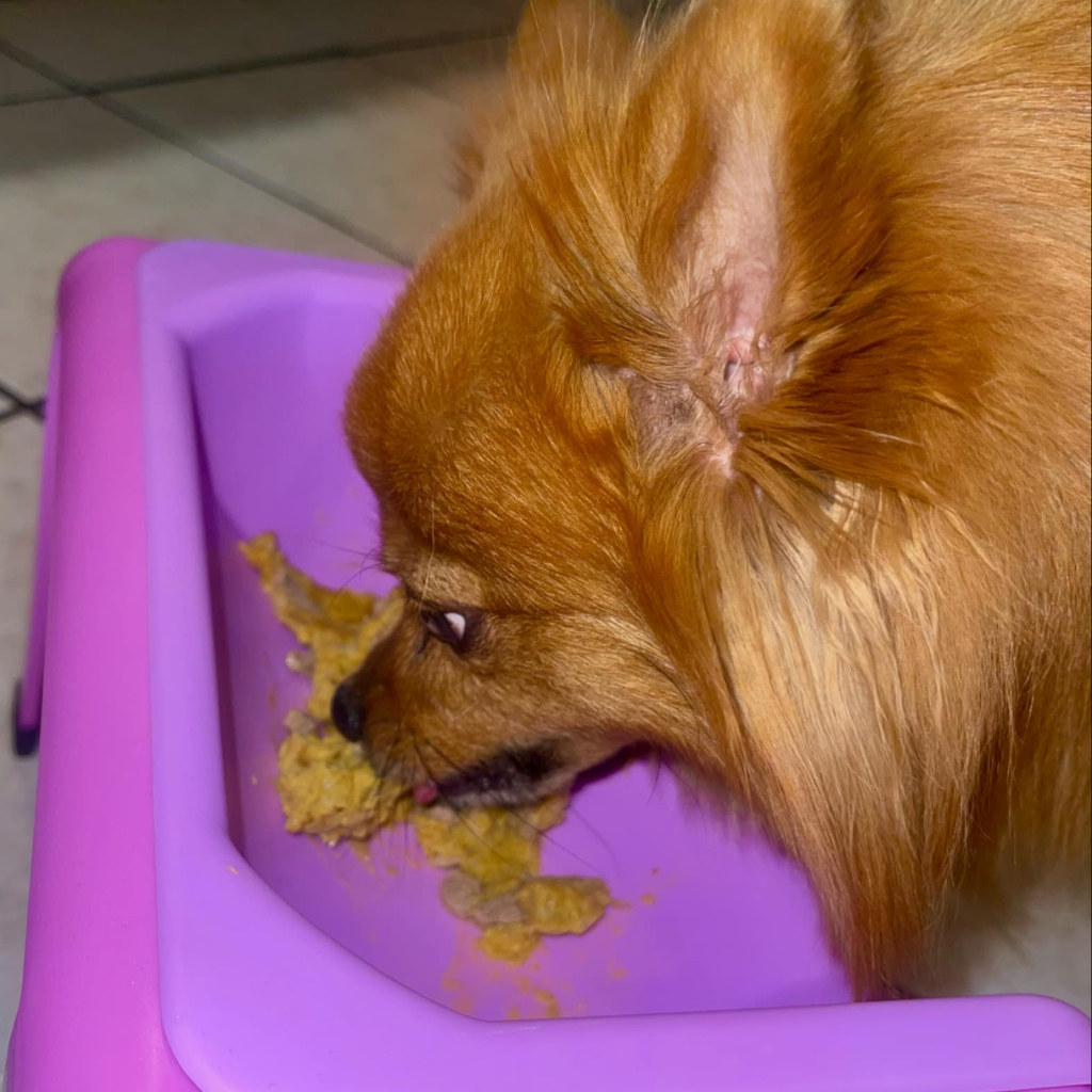 ChefPaw Dog Food Maker Review