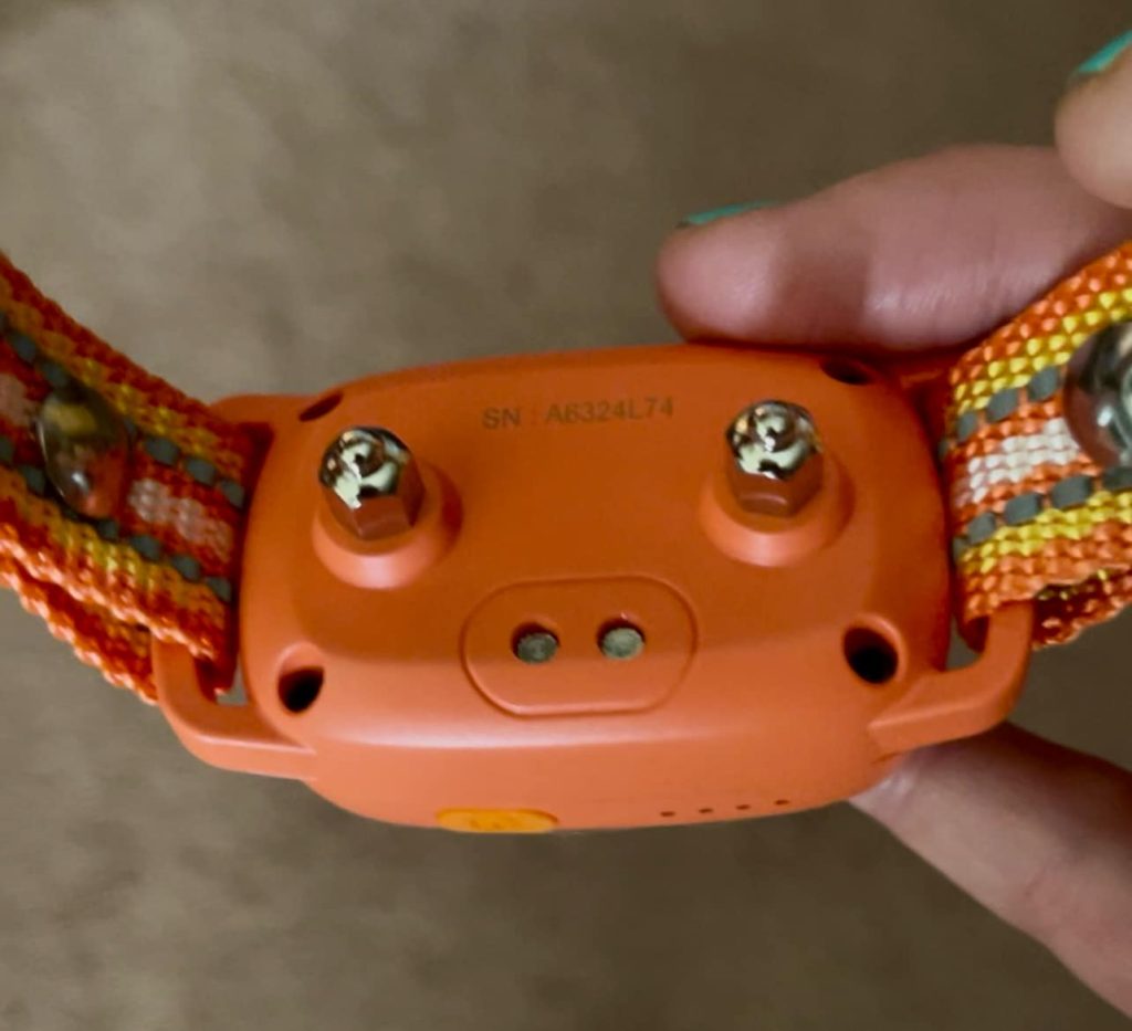 Training Your Dog with an E Collar With The Jugbow Watch & Collar