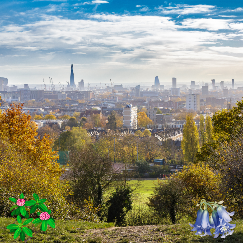 5 Of The Best Summertime Walks In London