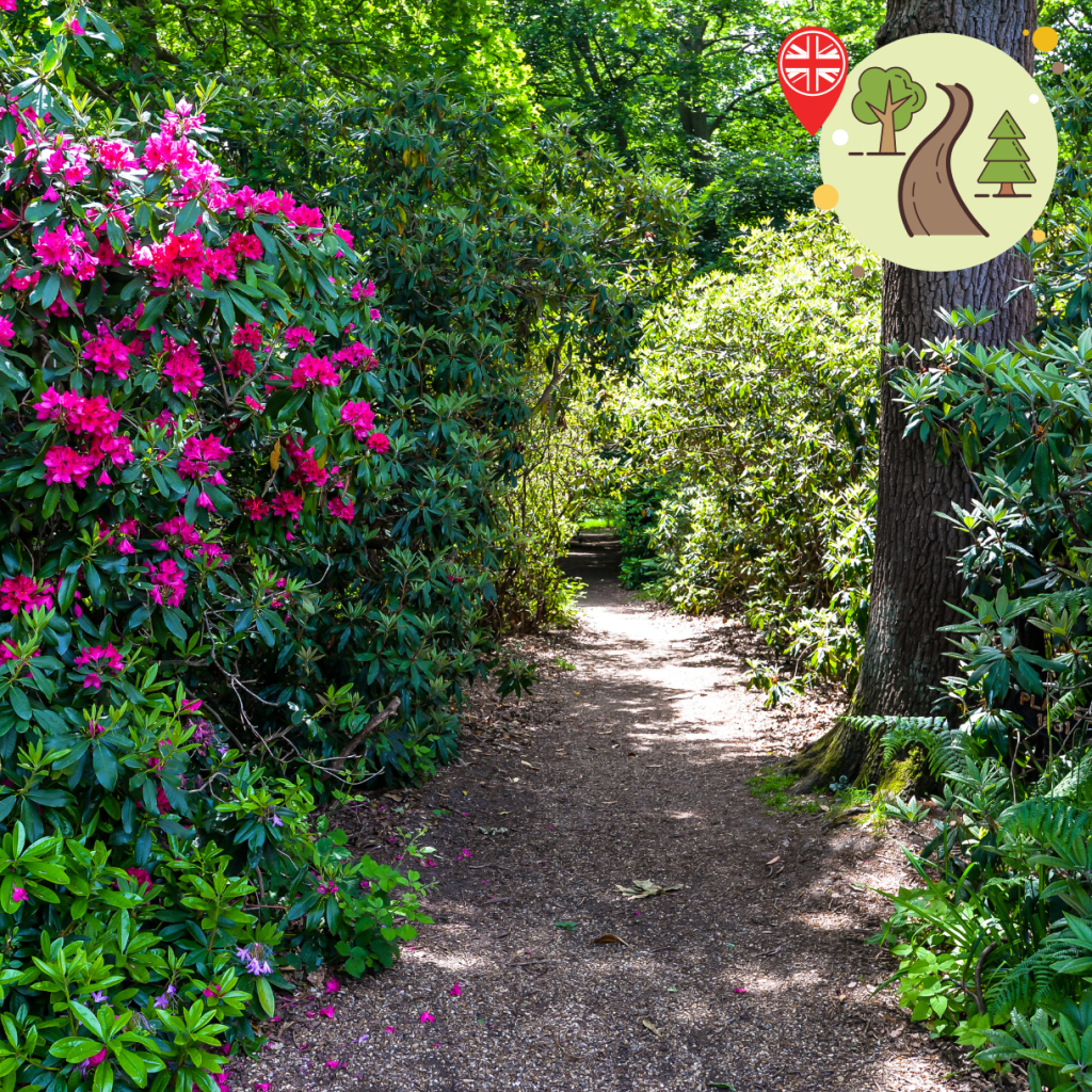 5 Of The Best Summertime Walks In London