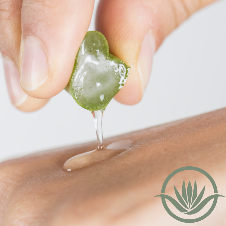 5 Best Natural Skincare Ingredients