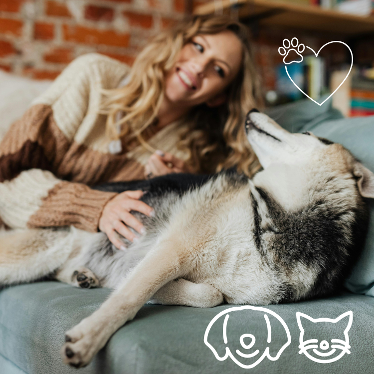 Chicago Apartment Pets Thrive With These Simple Daily Routines