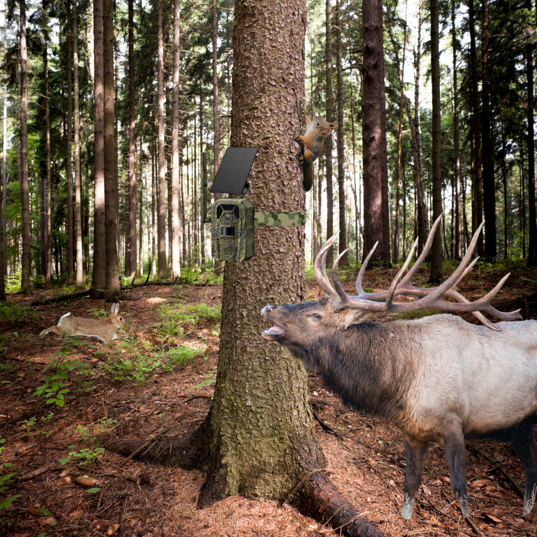 Best Easy To Use Trail Cameras