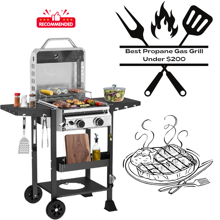 This Is The Best Propane Grill Under 200!