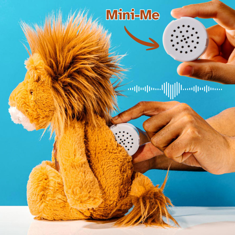 Special Memory Keepsake Recordable Voice Gifts