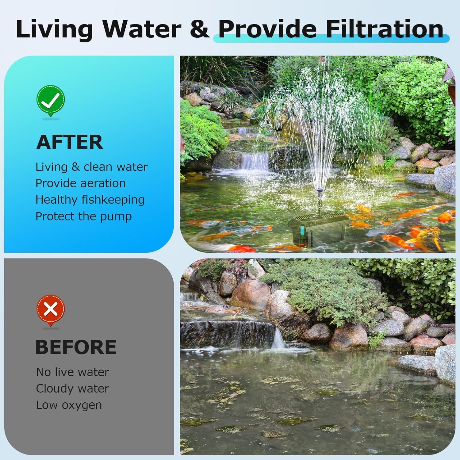 The Best Filter Plants For Pond And Solar Pond Kit