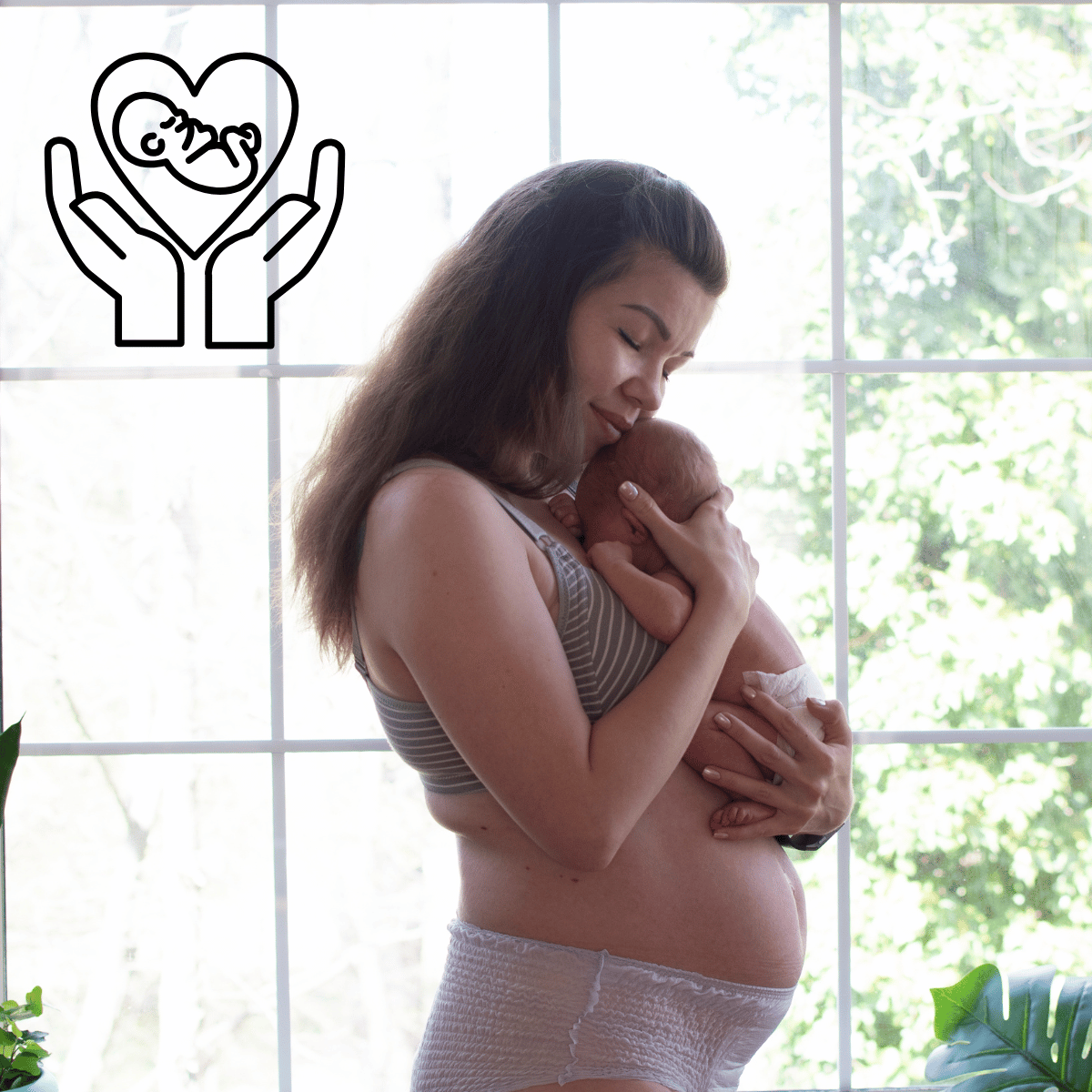 The Fourth Trimester: Transitioning From Pregnancy To Postpartum The Fourth Trimester: Transitioning From Pregnancy To Postpartum