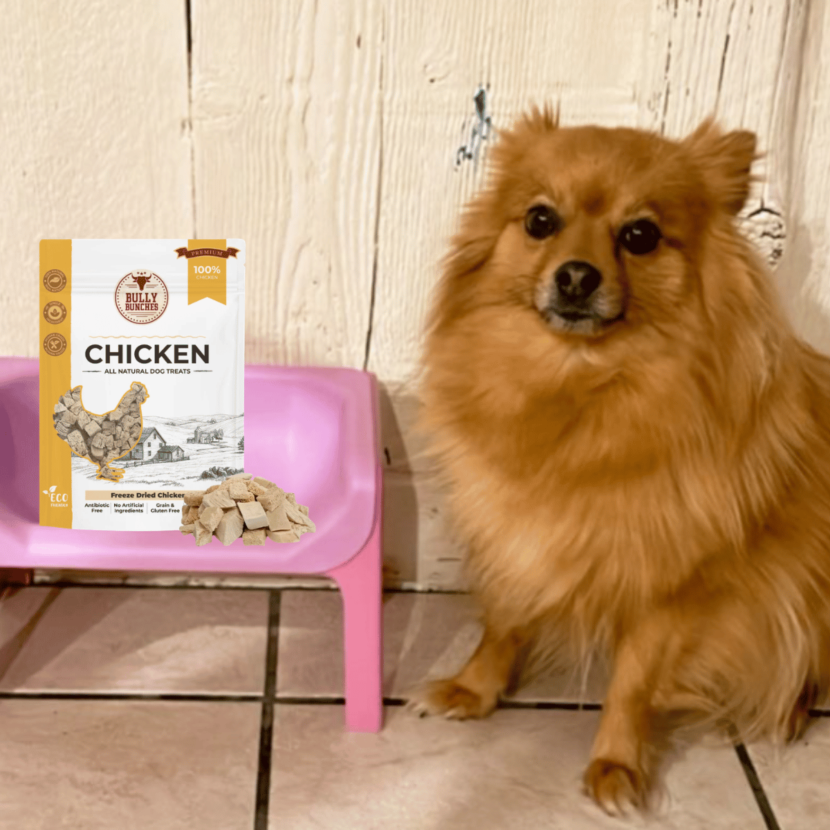 Why More Pet Parents Are Choosing Freeze-Dried Dog Treats